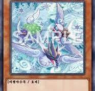 스노루와 함께하는 후완다리즈 여행 지침서