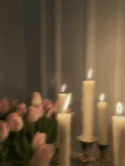 너는 나의 문학