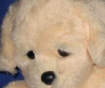 그놈은 멋있었어