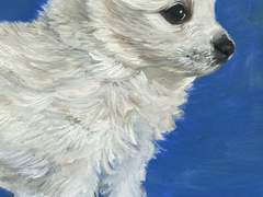 들날 반려동물 유화 커미션 안내