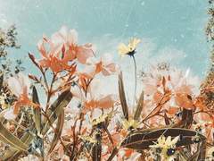 [이태영 드림] 비밀의 화원