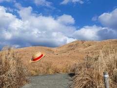 쿠마모토에서 춤을