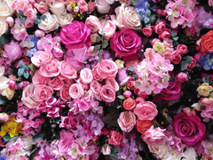 [세븐틴 상황문답] 02. 아파