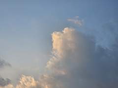 데못죽 드림 - [ 花樣年華 ]