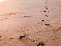 [소설] 현대, 무애(無㝵)의 증명 (11,761자)