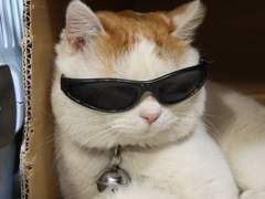 어서오세요, 네오 편의점입니다!