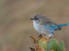환영해요 웅녀스쿨!