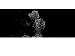 날 기억하고 있을지는 모르겠다만.