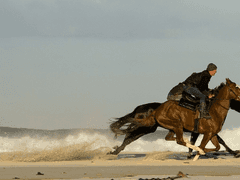 [쿠로이 카즈키/XY/겐카고]