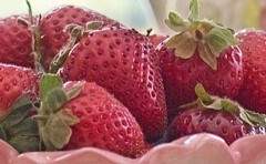 한다래 / XX / 21 / 인간