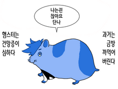 프놀 백업