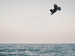 Dear. Caley Fortune (1)