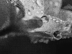 ■■■■■ ■■■■■■