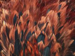 [임검임] 금일今日