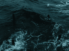 네가 바다를 좋아했기에 나는 바다를 사랑하기로 했다. 1/2