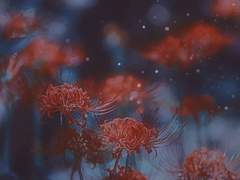 [ 비공개 신청서 / 쿠로이시다 료 ]