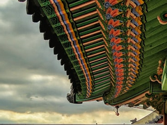 [유의연우]怨과 哀, 哀와 怨