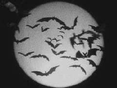 상냥한 뱀파이어의 시대