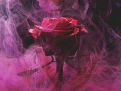 「사쿠마 리츠 드림」 영원한 밤의 서곡 1장