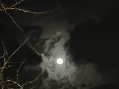 같이 가자, 지옥에