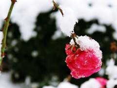 [장편/이타이즈] 오만 -10-