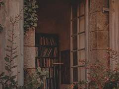 릴리 C. 에밀리_Xx_후플푸프_혼혈