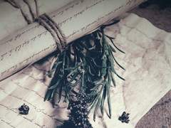 전하지 못한 진심이,