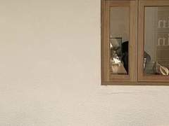 10杯冰美式换1个你(4)