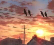 하이큐 드림 - 합숙