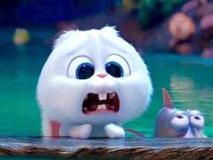 우당탕탕 SVT 하숙집. pro