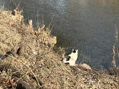 오늘 시험을 잘 본다면 내일 늦잠을 잘 거야