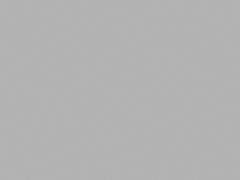 [ 커미션 신청서 - 구찌님 ]