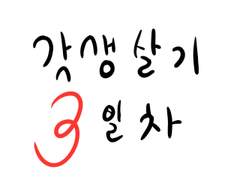 [기록] 갓생살기 3일차