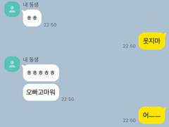 쌍둥이의 일상은요