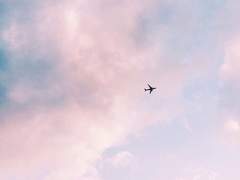 니코 라인하트 [Nico Reinhart]