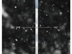 서른 번째 겨울