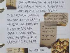 To. 날 사랑하는 너에게.