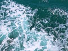 그날의 기억에는 우리의 모습만이 남았어.