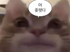 <주술회전>드림주의 이중생활