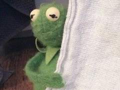 아이고! 아가씨! 그러시면 안돼용!