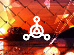 [박노을 / 20세 / 203호 ]