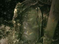 「나의 하늘은 없다」 下