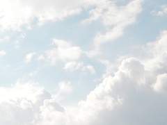 「Zayden Alan Taylor」