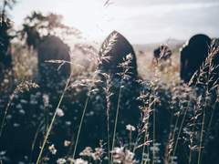 원치 않은 희생은 고통을 불러온다