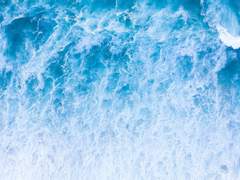 [호열백호] 너를 ■■하는 세계