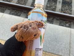 벌써 1월이 끝나가다니