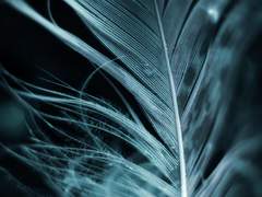 인외에게 사랑받는 드림22