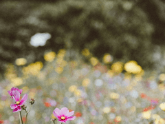 1. 그 날을 계기로.