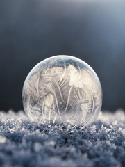 살바도르 아카데미