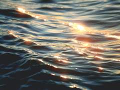 [내스급/현제유진] 83화